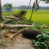 পুলিশ সুপার