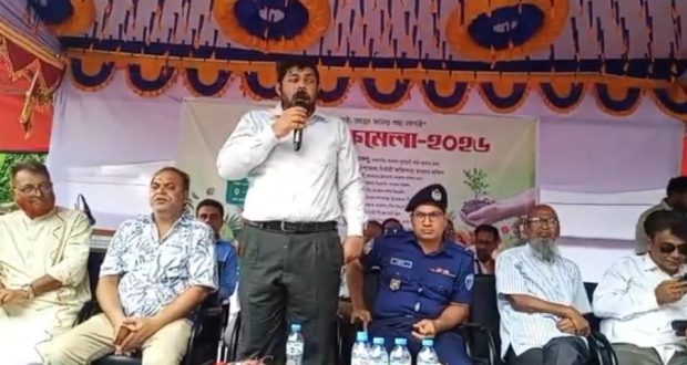 কচি