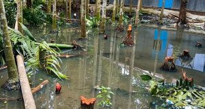 প্রযুক্তির