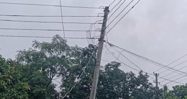 বৈদ্যুতিক