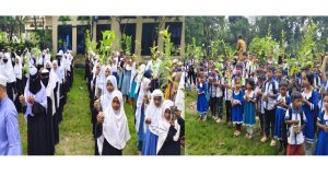 চাঁদপুর কচুয়ায় পালাখাল, চাঁদপুর কচুয়ায় পালাখাল