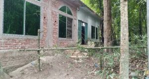 আওয়ামী লীগ