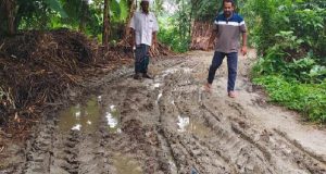 হাতিরবন্দ