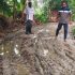 যুবদলের