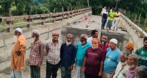 চাঁদপুরে ঘূর্ণিঝড় বুলবুলে প্রাণ গেলো সাড়ে ৭ হাজার মুরগির