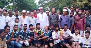 আলুর