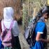 বন্যায়