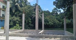 উন্নত