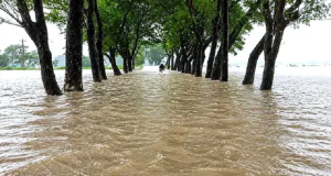 Flood-pci----