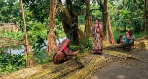 প্রার্থীর