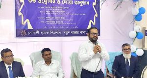 দেশীয়