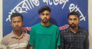 ধানের শীষে