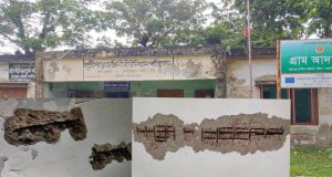 বোরো চাষ শুরু