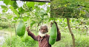 কচুয়ায় নুসরাত হত্যাকারীদের বিচারের দাবিতে মানববন্ধন