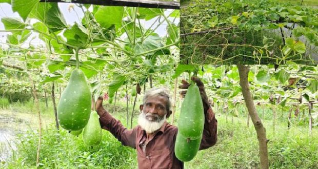 কৃষকের