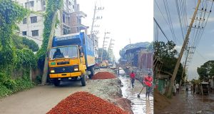 চাঁদপুরে কৃষককের