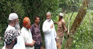 পেশাজীবী