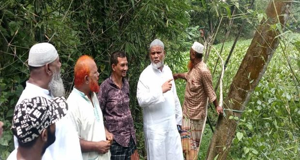 পৌরসভা