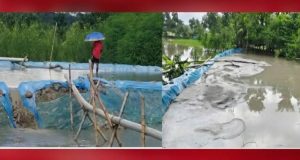 চাঁদপুরে ৭ হাজার ৯ শ’ তরুণ-তরুণীকে প্রশিক্ষণ দিয়েছে যুব উন্নয়ন