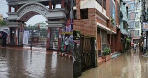 প্রকাশনা
