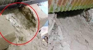 ডেঙ্গু