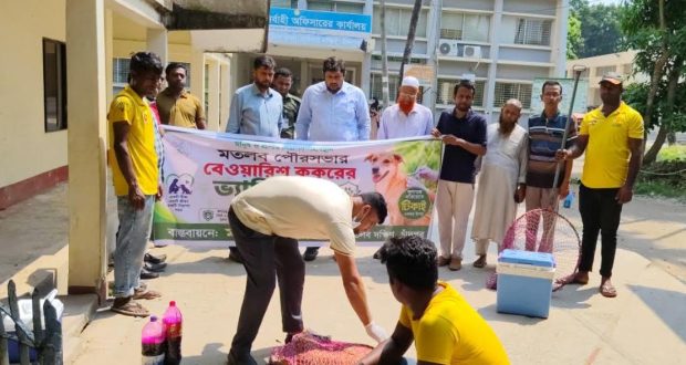 পৌরসভায়