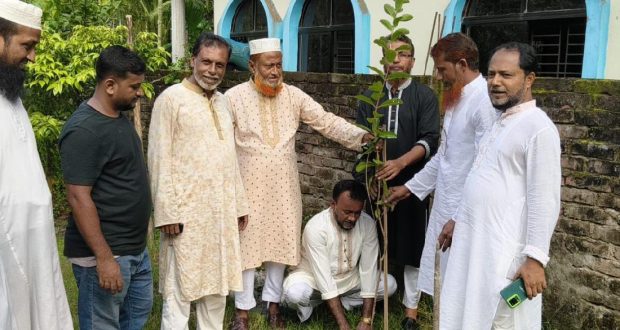 বিএনপির