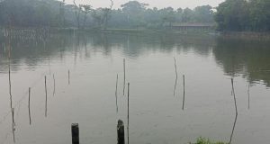 মাদকাসক্ত