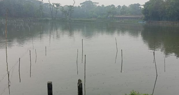 হারিয়ে