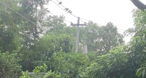 শুদ্ধাচার