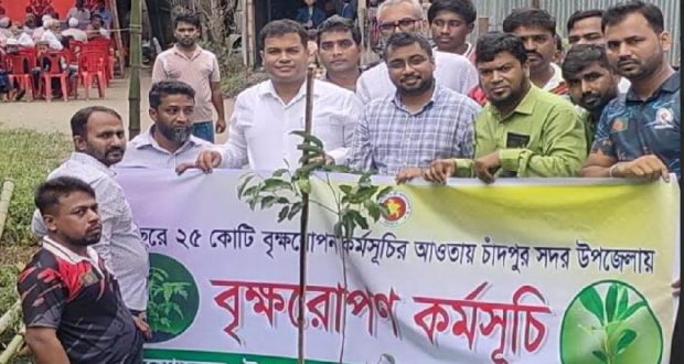 গাছ