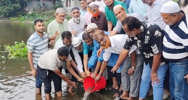 বিএনপির