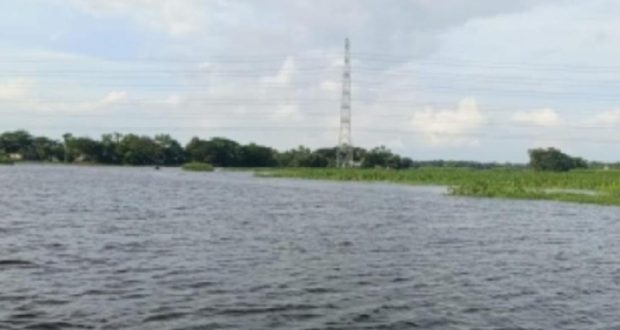 ইলেকট্রিক
