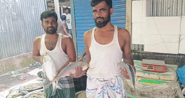 ইলিশ