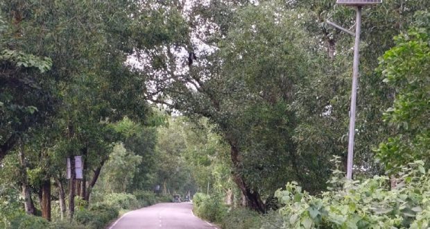 সড়কে