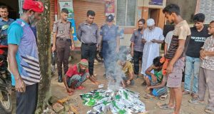 গুলিস্তানে