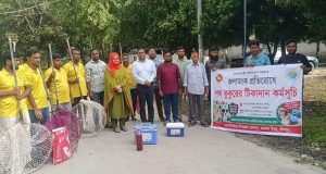 ইলিশ