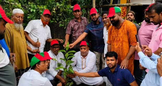 বিএনপির