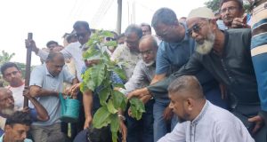 নতুন শনাক্ত নেই