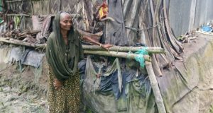 ফরিদগঞ্জে ছাদ থেকে পড়ে পিএসসি পরীক্ষার্থীর মৃত্যু, ফরিদগঞ্জে ছাদ থেকে পড়ে পিএসসি পরীক্ষার্থীর মৃত্যু