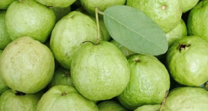 GUava--