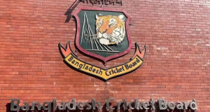 cricket