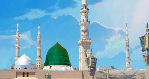 nabi