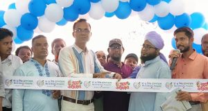 ফরিদগঞ্জের ওয়াপদা অফিস সংলগ্ন জাম গাছটি মরণ ফাঁদে পরিণত