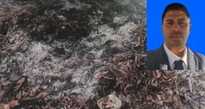 ‘সাম্প্রদায়িকতা বলতে কিছু নেই, হিন্দু মুসলিম ভাই-ভাই’