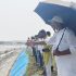 কৃষিজমি