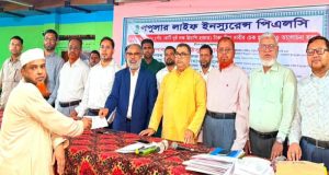 চাঁদপুরে জমে উঠেছে শীতকালীন শাকসবজি