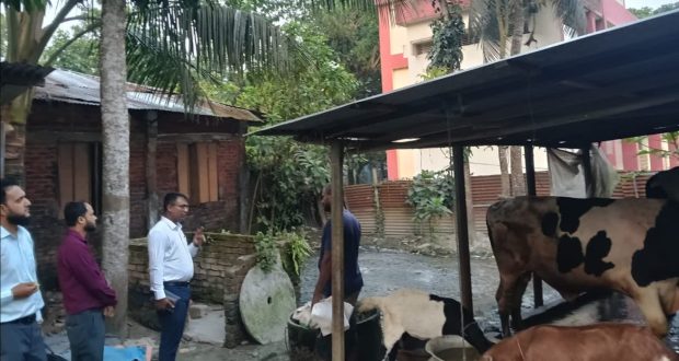 পরিবেশ