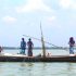 মেঘনায়